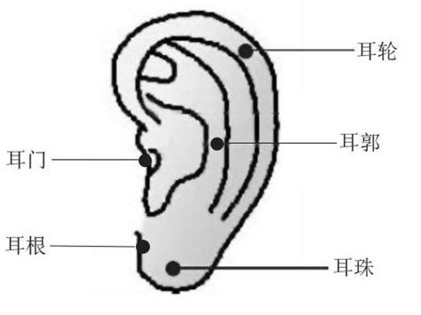 耳垂痣|痣的位置与命运：耳朵上有痣代表什么寓意